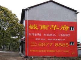 泸水百分之90的人都不了解的农村墙体广告