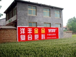 泸水如何让墙体广告展现最大化效果
