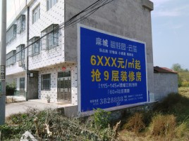 泸水墙体广告质量分析
