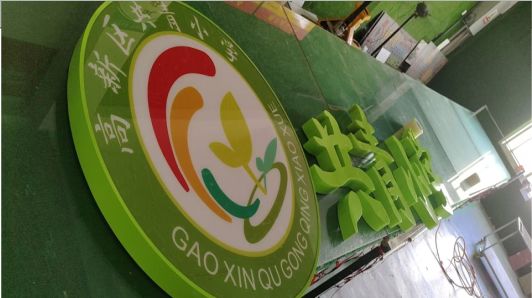 泸水常见的发光字类型